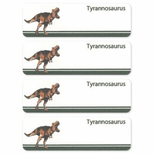 名前 シール＆アイロン両用ネームラベル 4枚セット ティラノサウルス 新入学 恐竜 ダイナソーワールド お気に入りシリーズ メール便可