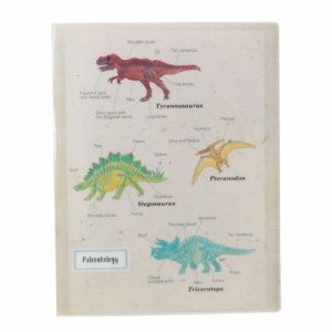 STUDY HOLIC ポケットファイル A4クリアブックファイル 古生物学 恐竜 おもしろ雑貨 グッズ メール便可