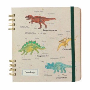 STUDY HOLIC リングノート リングノート スクエア 古生物学 恐竜 おもしろ雑貨 グッズ メール便可