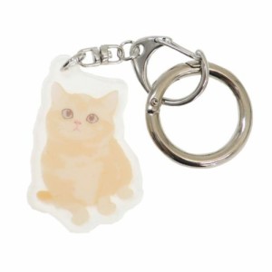 猫 グッズ キーホルダー アニマルアクリルキーホルダー マッシュ 猫雑貨 グッズ メール便可