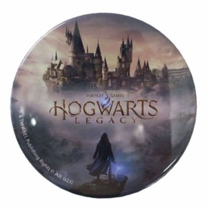 ホグワーツ レガシー 缶バッジ キービジュアル ウィザーディングワールド WIZARDINGWORLD グッズ メール便可