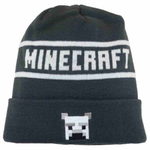 マインクラフト 帽子 KIDS ニット帽 グレー Minecraft ゲームキャラクター グッズ メール便可