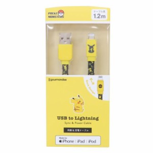 ポケットモンスター 充電ケーブル USB Lightning ライトニングケーブル1.2m ピカチュウ ポケモン キャラクター グッズ メール便可