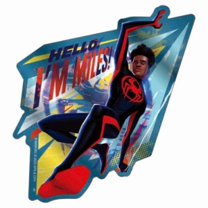 スパイダーマン：アクロス ザ スパイダーバース ビッグ シール メタリックステッカー MILES MORALES キャラクター グッズ メール便可