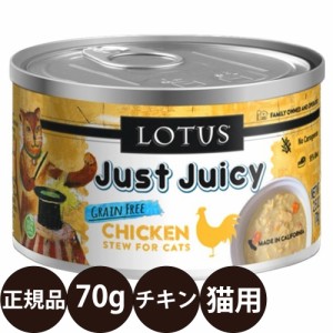 ロータス キャットチキンシチュー 70g