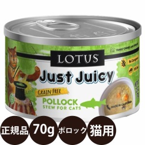 ロータス キャットポロックシチュー 70g