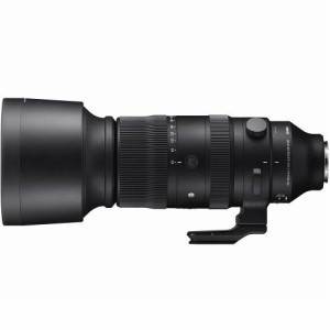 シグマ 60-600mm F4.5-6.3 DG DN OS Sports ソニーE用