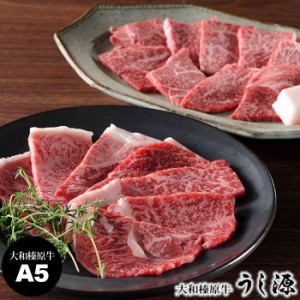 大和榛原牛 赤身 上カルビ・モモ肉詰合せ A5ランク ブランド牛 高級肉 うし源 焼肉 上カルビ 霜降りモモ お取り寄せ ギフト グルメ 産直