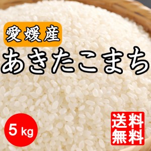 お米 令和5年産  愛媛県産あきたこまち5kg【送料無料】※北海道,東北,沖縄除く