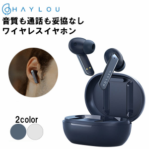 HAYLOU ハイロー W1 ネイビー  ワイヤレスイヤホン Bluetooth マイク 通話 超軽量 [HL-W1NV](送料無料)