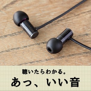 高音質 カナル型 イヤホン final ファイナル E1000 BLACK 【FI-E1DPALBL】 有線 イヤフォン