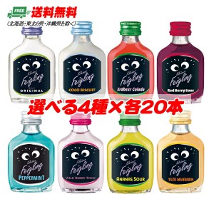 （代引き不可）クライナーファイグリング 20ml瓶 選べる 4種 × 各20本  飲み比べ（バラエティ）送料無料 Kleiner Feigling