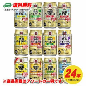 （数量限定セール）タカラ 焼酎ハイボール 12種 飲み比べ（バラエティ）350ml 12種×各2本 1ケース 送料無料  N