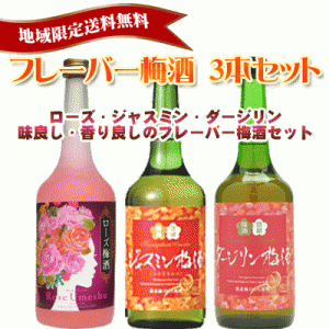 中埜酒造 フレーバー梅酒 720ml 3本セット