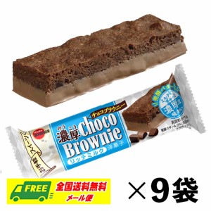 ブルボン 濃厚チョコブラウニー リッチミルク バータイプ 44g×9本 お菓子 ケーキ メール便 代引・配達日時指定不可