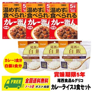 長期保存・備蓄用 グリコ 常備用カレー職人 170g 中辛 + 尾西食品 アルファ米 白飯 セット 賞味期限5年 メール便 代引・配達日時指定不可