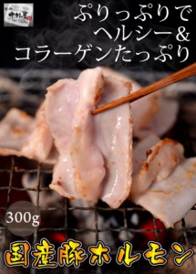 お歳暮 ギフト 内祝い 豚肉 国産豚 ホルモン 300g 豚肉 内祝い 贈り物 ギフト 焼肉 BBQ 訳あり