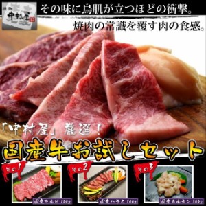 お歳暮 ギフト 内祝い 牛肉 国産牛お試しセット(カルビ ハラミ ホルモン各100g)