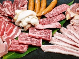 お歳暮 ギフト 内祝い ミックスセット２ 上カルビ トントロ 鶏もも肉 ハラミ ホルモン各100g 豚