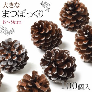 松ぼっくり 100個入 約6〜9cm 天然素材 大きな まつぼっくり 大きめ クリスマス オーナメント 正月 ハロウィン 工作 ハンドメイド 手芸 