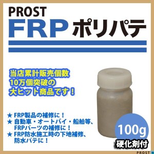 硬化剤付！FRPポリエステルパテ　１００g　下地凹凸/平滑用/FRP補修/ポリパテ