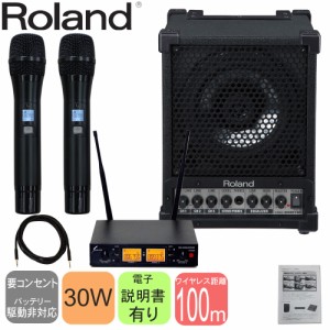 受信機+ 赤外線ワイヤレスマイク2本+ 充電スタンドセット SOUNDPURE SPK-030