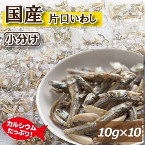 アーモンドフィッシュ 100g (10gx10袋)  国産小魚 片口いわし アメリカ産アーモンド 素焼きアーモンド あーもんど こざかな あーもんどふ