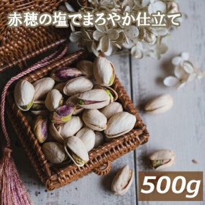 ナッツ専門店の ピスタチオ 塩味（アメリカ産) 500g 赤穂の焼き塩でまろやか仕立て 有塩 塩付 ノンオイル 無添加 ぴすたちお 大粒 殻付き