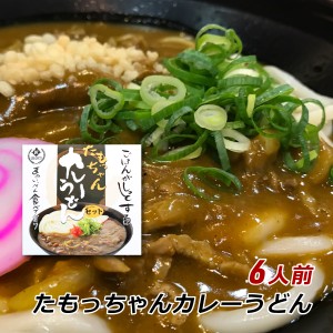 カレーうどん 讃岐うどん たもっちゃん 生うどんカレーセット 6人前 香川県産 たも屋 讃岐 贈答用 内祝い 産地直送 クール便