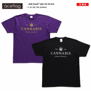 ACE FLAG Tシャツ 半袖 メンズ 春夏用 紫/黒 大きいサイズ エースフラッグ BUDS ばっず バッズ 大麻 マリファナ ヘンプ ロゴ オーバーサ