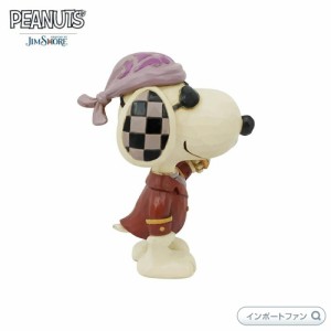 ジムショア スヌーピー パイレーツ ミニ 海賊 フック ピーナッツ 6006945 Mini Snoopy Pirate Jim Shore □