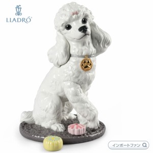 リヤドロ プードル 和菓子 お茶会 犬 01009472 LLADRO Poodle with Mochis Dog □