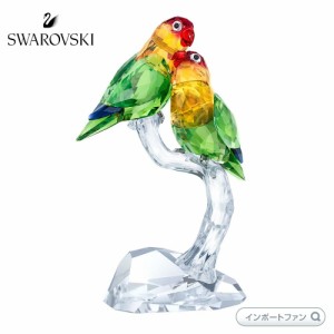 スワロフスキー ラブバード ボタンインコ 鳥 動物 置物 5379552 Swarovski □