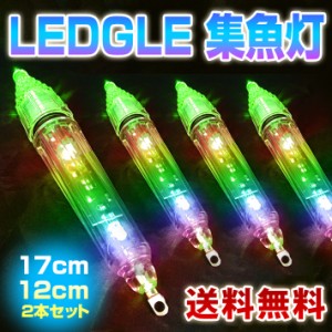 水中 集魚灯 17cm 12cm 2本セット 集魚ライト 高輝度LEDライト 夜釣り イカ釣り 海水 淡水 ライト 電池付き レインボー