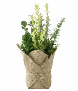 デコ イミテーション ハーブ ミックス スワッグ Tady7050 Decor Imitation Mix Herb In Bag 造花 Inポット インテリアグリーン 人工観葉の通販はau Wowma ワウマ メルシープレゼント雑貨屋 商品ロットナンバー