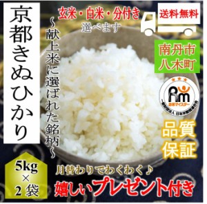 お米 京都産 キヌヒカリ 令和5年産 10kg 玄米 5kg×2袋 選べる精米 玄米 白米 分付き 嬉しいプレゼント付き 送料無料