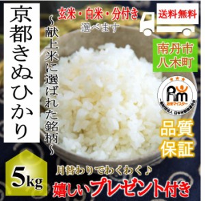 お米 京都産 キヌヒカリ 令和5年産 5kg 玄米5kg 選べる精米 玄米 白米 分付き 嬉しいプレゼント付き 送料無料