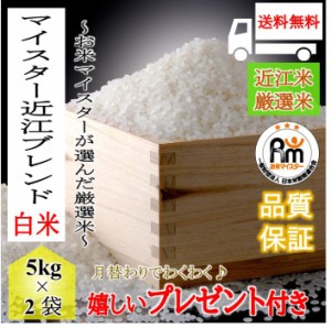 お米 10kg マイスター厳選 近江米ブレンド 令和5年産 白米 5kg×2袋 安い 美味しい 嬉しいプレゼント付き 送料無料