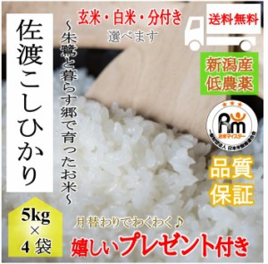 お米 令和5年産 20kg  新潟 佐渡産 コシヒカリ 特A 特別栽培米 玄米 5kg×4袋 選べる精米 白米 分付き 嬉しいプレゼント付き 送料無料