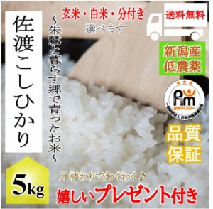 お米 令和5年産 5kg 朱鷺と暮らす郷　特別栽培米　新潟佐渡産こしひかり 玄米 5kg 選べる精米 白米 分付き 嬉しいプレゼント付き 送料無