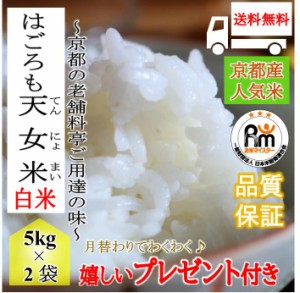 お米 令和5年産 10kg 京都丹後産 コシヒカリ はごろも天女米 白米 5kg×2袋　特別栽培米 嬉しいプレゼント付き 送料無料