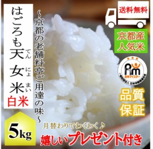 お米 令和5年産 ５kg 京都丹後産コシヒカリ　はごろも天女米 白米 ５ｋｇ×１袋 　特別栽培米