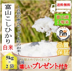 お米  富山県産 コシヒカリ 10kg 白米5kg×2袋 令和5年産 嬉しいプレゼント付き 送料無料