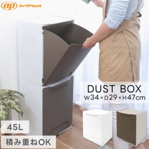 ArtPlast ゴミ箱 45L ラタン調 スタッキング ダストボックス キッチン リビング 引き出し収納 壁面収納 薄型 シンプル インテリア アート