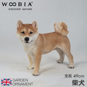 左向き柴犬 柴犬 犬 横向き オーナメント ガーデンオーナメント 置物 ガーデニング 置き物 園芸 リアル 精巧 アニマル 動物 かわいい オ