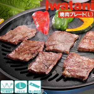 イワタニ 焼肉プレート 大 CB-A-YPL カセットコンロ用