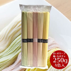 小豆島 そうめん 小豆島手延べ素麺　4色入り　250g(50g×5束)×1袋 ひとみ麺業