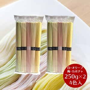 【メール便送料無料】小豆島 そうめん 小豆島手延べ素麺　4色入り　250g(50g×5束)×2袋　ひとみ麺業