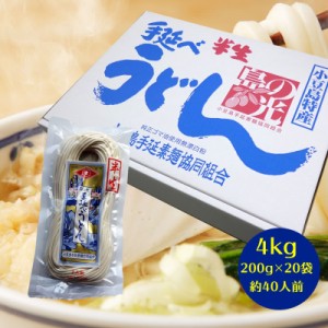 島の光 小豆島手延べ 半生うどん 4kg（約40人前）200g×20袋  手延べ うどん 島の光 半生 讃岐うどん 