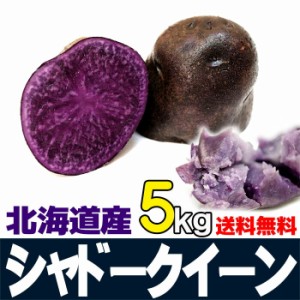 シャドークイーン 5kg じゃがいも 北海道産 ジャガイモ 贈り物 内祝